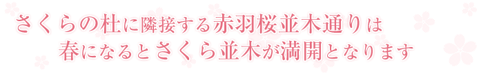 さくらの杜に隣接する赤羽桜並木通りは春になるとさくら並木が満開になります